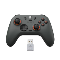 Беспроводной геймпад GameSir T4 Nova Lite 2 серый с USB передатчиком 2.4GHz